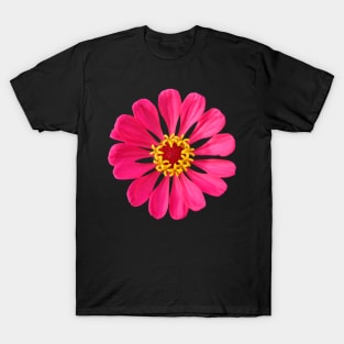 colorful pink zinnia, flower, blooms, flowers T-Shirt